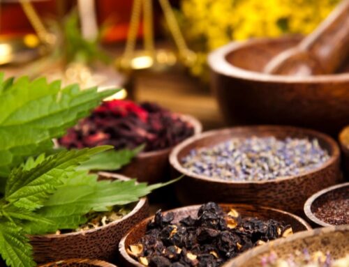 Exploring the Benefits of Traditional Medicine and Its Role in Integrative Healthcare